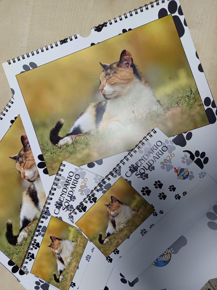 Calendario Rodamons de Rubi