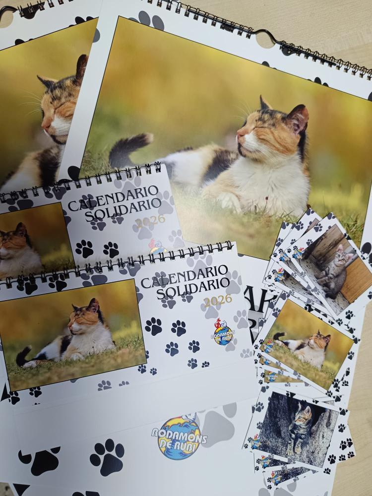 Calendario Rodamons de Rubi