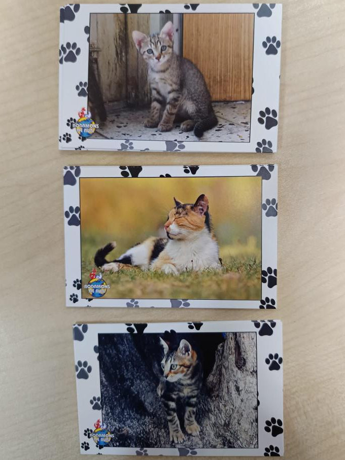 Calendario Rodamons de Rubi